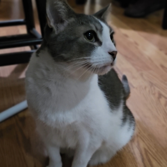 Meet your Posher, Ruth - Picture 2 of 2